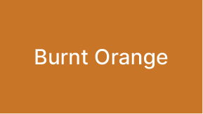 BurntOrange@2x