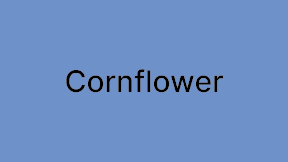 Cornflower@2x